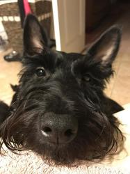User Profile: littleWillow3007