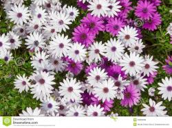 User Profile: sunshine9957