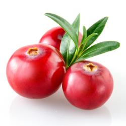 User Profile: Cranberry6511