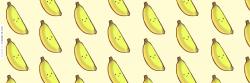 User Profile: Saging