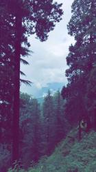 User Profile: JClark11