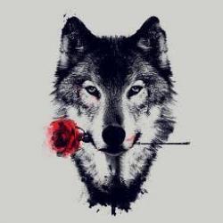 User Profile: TheLoneWolf6