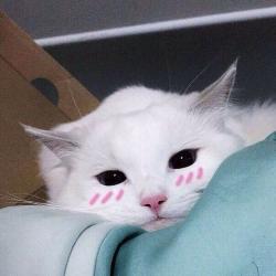 User Profile: milkystrwberry