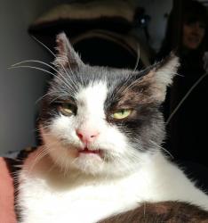 User Profile: agesanter