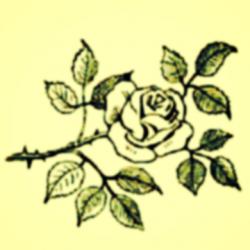 User Profile: CallingDreams