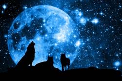 User Profile: sympatheticMoon6317