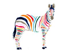 User Profile: flyingzebra