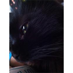 User Profile: sincerelydkg