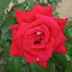 User Profile: sky1263