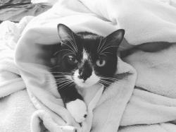 User Profile: BipolarUK