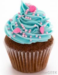 User Profile: WiseCupcake22