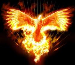 User Profile: Phoenix777
