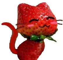 User Profile: berry1900
