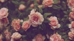 User Profile: starryoctobersky