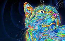 User Profile: kindCat9772