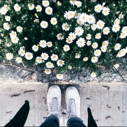 User Profile: radiixrose