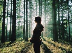User Profile: starforest