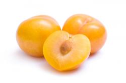 User Profile: goldenPlum1536