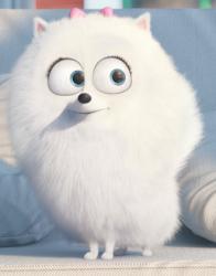 User Profile: Furry