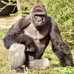 User Profile: lolnicetry