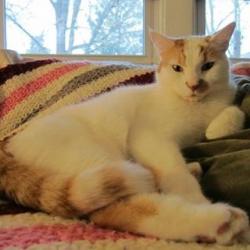 User Profile: cozykitty