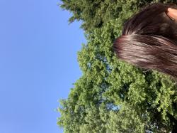 User Profile: blossomfall