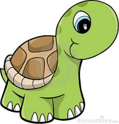 User Profile: placidTurtle9696