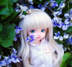 User Profile: indigoNest8569