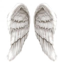 User Profile: gooddreamz
