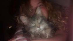 User Profile: weewooweeWOOWEEWOO