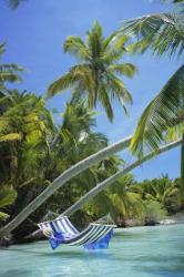 Profile: beachlover5008