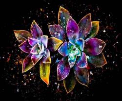 User Profile: JewlryJemaJohnson