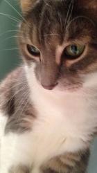 User Profile: poncheez