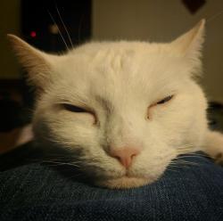 User Profile: KatinaChoovanski