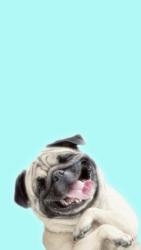 User Profile: oliveCoconut2394