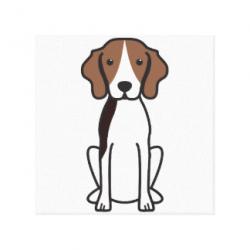 User Profile: straightforwardPlace2498
