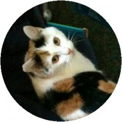 User Profile: Olym8aela